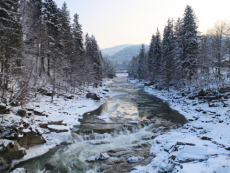 украина горнолыжка (2)