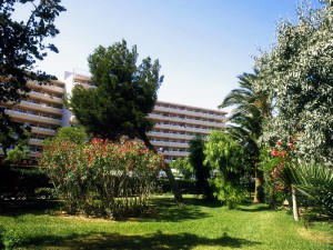 Marina Barracuda