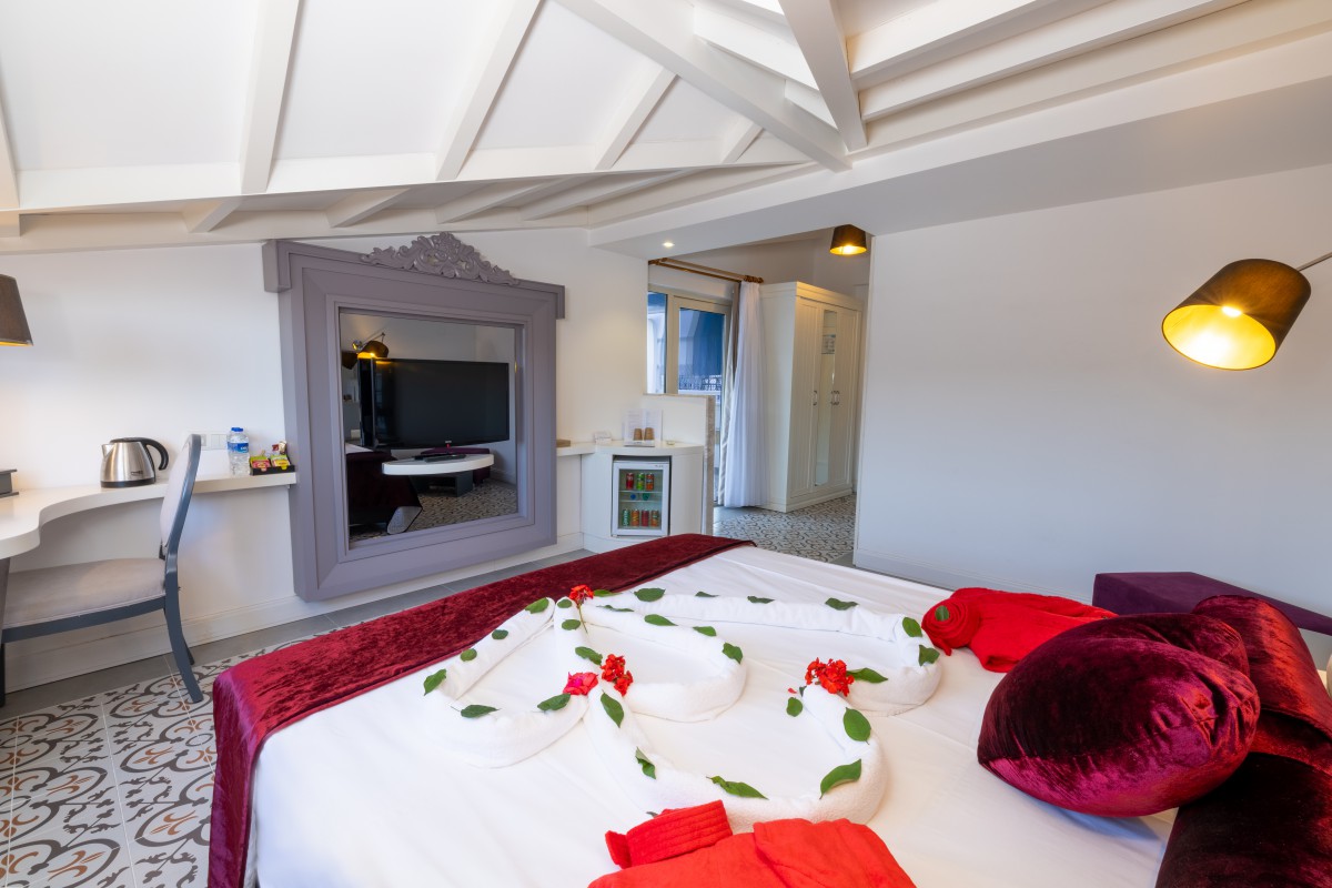 Standard Room tarace 1