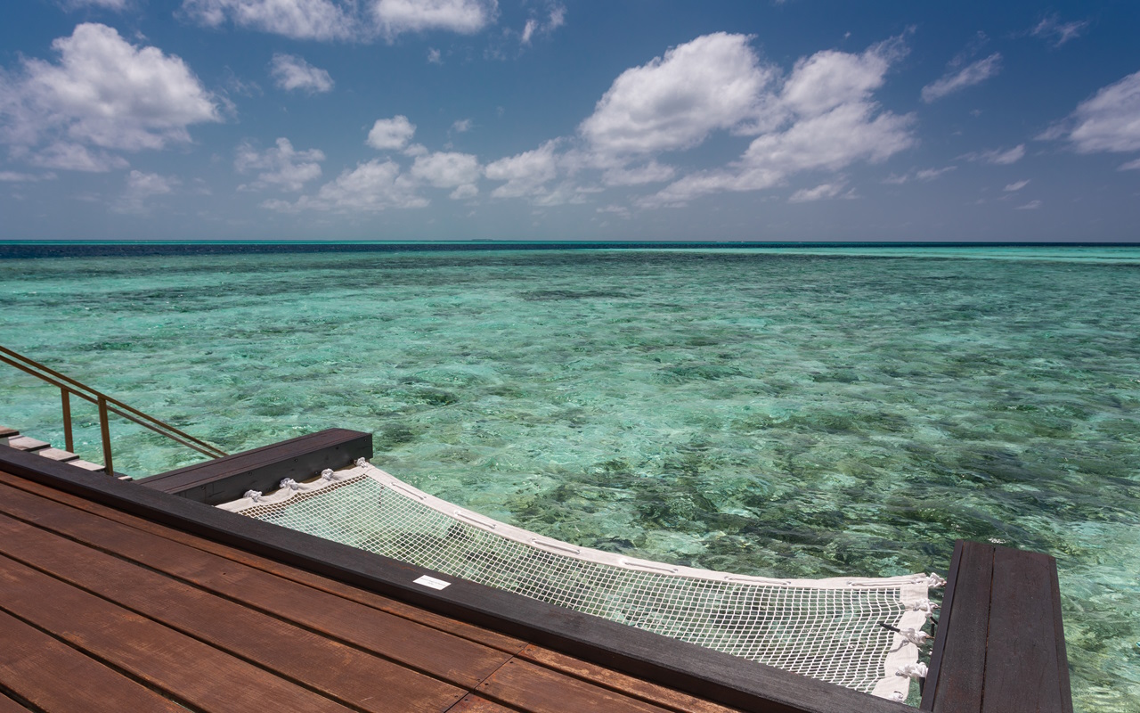 View with the hammock