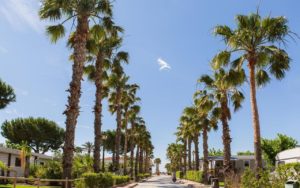 Vendrell Platja