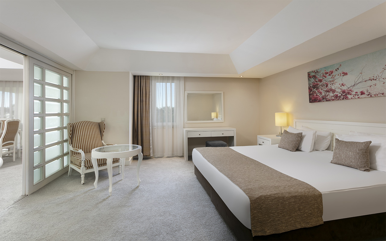 Hotel Suite Room (5)